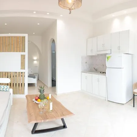 Almiriki Naxos Beachside Living 公寓 Pláka