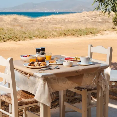公寓 Almiriki Naxos Beachside Living *