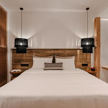 Almiriki Naxos Beachside Living *